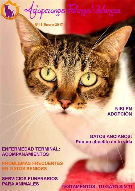 gatos gratis valencia|Foro gratis : ADOPCIONES FELINAS VALENCIA